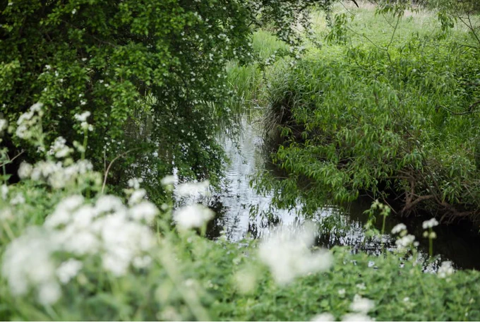 The River Mease