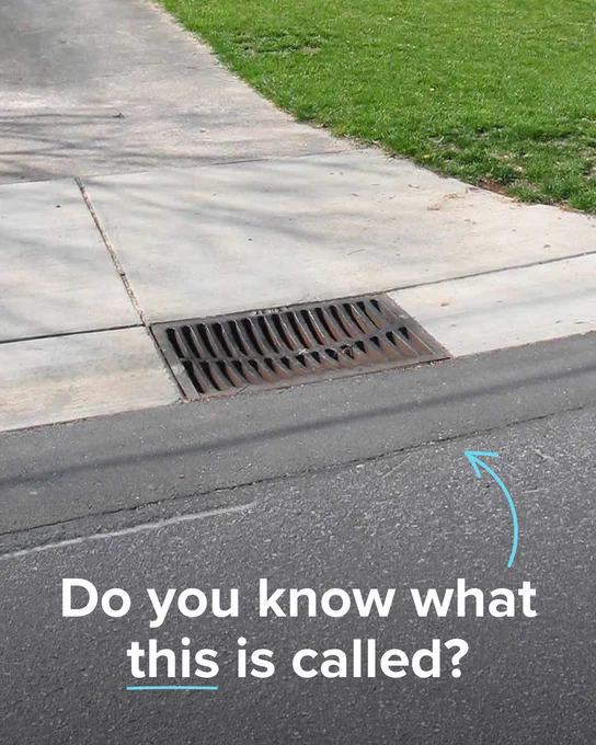 A sidewalk and grass area with a storm drain at the edge of the pavement. An arrow points to the drain with the text, "Do you know what this is called?