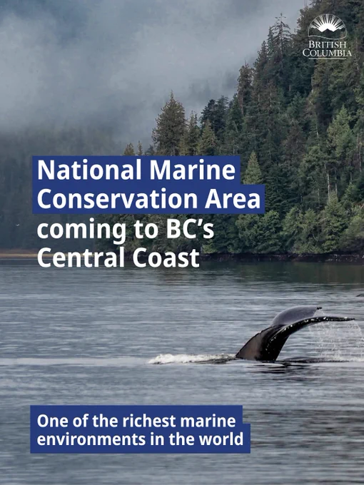 National Marine Conservation Area coming to BC's Central Coast
One of the richest marine environments in the world