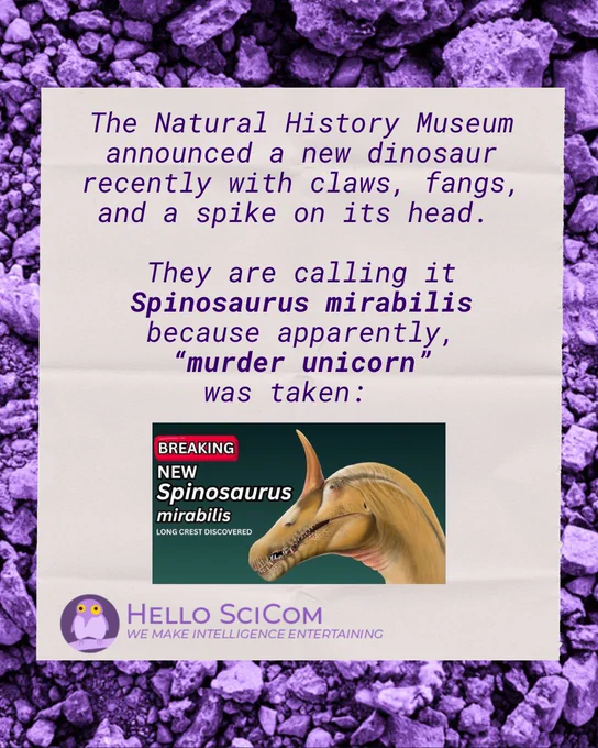 Background image of a dinosaur fossil surrounded by rocks tinted purple, underlying a graphic of paper. The type on the paper is a science joke in the style of topical, late-night comedy and desk bits. The joke reads "The Natural History Museum announced a new dinosaur recently with claws, fangs, and a spike on its head. They are calling it spinosaurus mirabilis because apparently, 'murder unicorn" was taken" followed by a rendering of the dinosaur in a "breaking news" style. 