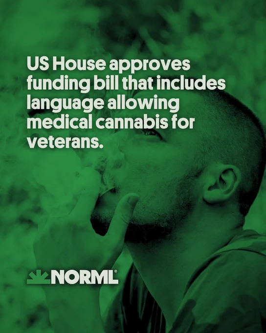 Headline reads, "US House approves funding bill that includes language allowing medical cannabis access for veterans." Background shows a close-up of a male veteran smoking a legal cannabis joint.