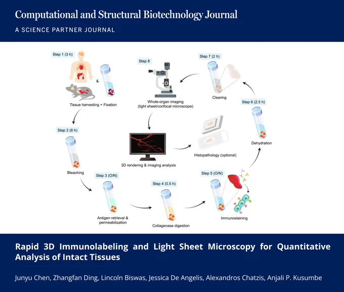 🔗 Rapid 3D Immunolabeling and Light Sheet Microscopy for Quantitative Analysis of Intact Tissues. Computational and Structural Biotechnology Journal (CSBJ). DOI: https://doi.org/10.34133/csbj.0121

📚 CSBJ - A Science Partner Journal: https://spj.science.org/journal/csbj
