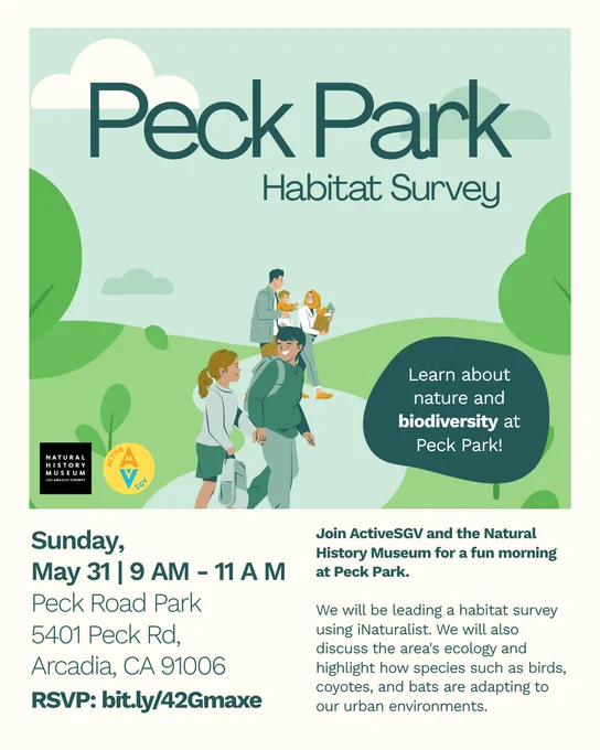 Flyer for Peck Park Habitat Survey event. It includes a group illustration of people outdoors with greenery, binoculars, and a bird. Text details the event at Peck Road Park, Arcadia, CA, on Sunday, May 31, from 9 AM to 11 AM. Hosted by ActiveSGV and the Natural History Museum, the survey will use iNaturalist to explore local biodiversity. QR code is present for RSVP.