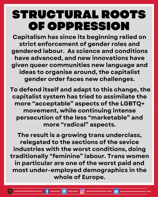 Capitalism has since its beginning relied on strict enforcement of gender roles and gendered labour.  As science and conditions have advanced, and new innovations have given queer communities new language and ideas to organise around, the capitalist gender order faces new challenges.

 To defend itself and adapt to this change, the capitalist system has tried to assimilate the more “acceptable” aspects of the LGBTQ  movement, while continuing intense persecution of the less “marketable” and more “radical” aspects.

The result is a growing trans underclass, relegated to the sections of the sevice industries with the worst conditions, doing traditionally “feminine” labour. Trans women in particular are one of the worst paid and most under-employed demographics in the whole of Europe.