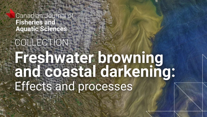 Aerial view of water showing brownish discoloration blending into darker coastal waters, illustrating freshwater browning and coastal darkening effects.