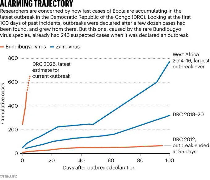 ALARMING TRAJECTORY
Researchers are concerned by how fast cases of Ebola are accumulating in the latest outbreak in the Democratic Republic of the Congo (DRC). Looking at the first 100 days of past incidents, outbreaks were declared after a few dozen cases had been found, and grew from there. But this one, caused by the rare Bundibugyo virus species, already had 246 suspected cases when it was declared an outbreak.