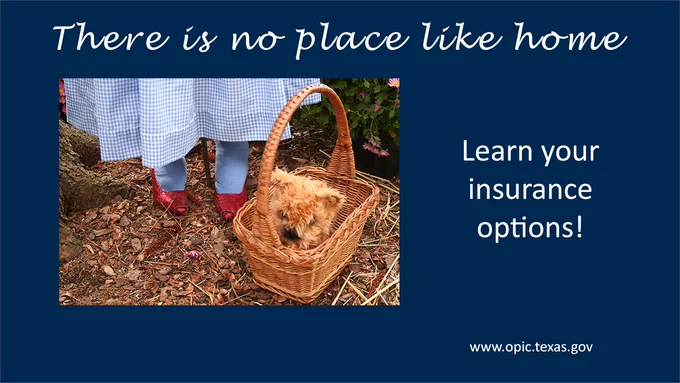 Dorothy from the Wizard of Oz holding a basket with Toto in it and the message that new homeowners should learn their insurance options.