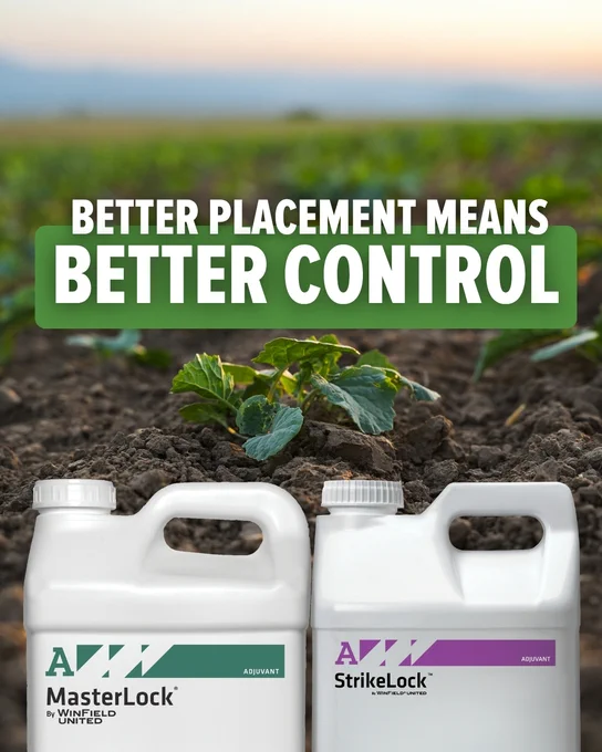 Two bottles labeled "MasterLock" and "StrikeLock" are in the foreground of an agricultural field. The text above them reads, "Better Placement Means Better Control." A sprouting plant is visible in the soil behind the bottles.