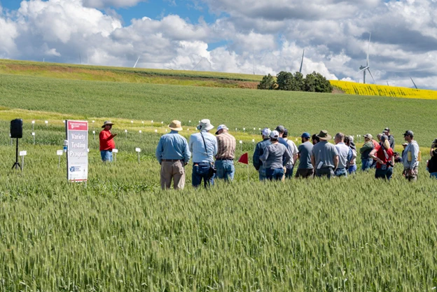 Crop tour participants standing in a field of green wheat while listening to Dr. Mike Pumphrey. Photo courtesy of the Washington Grain Commission.