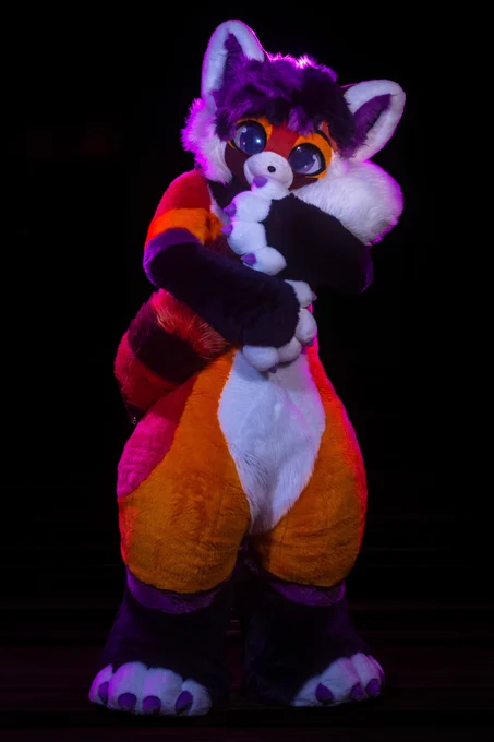 Archer the red panda fursuiter, hugging his own tail
