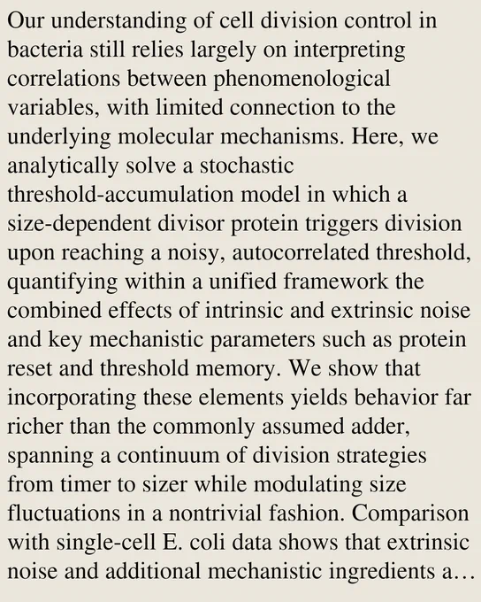 Our understanding of cell division control in bacteria still relies largely on interpreting correlations between phenomenological variables, with limited connection to the underlying molecular mechanisms. Here, we analytically solve a stochastic threshold-accumulation model in which a size-dependent divisor protein triggers division upon reaching a noisy, autocorrelated threshold, quantifying within a unified framework the combined effects of intrinsic and extrinsic noise and key mechanistic parameters such as protein reset and threshold memory. We show that incorporating these elements yields behavior far richer than the commonly assumed adder, spanning a continuum of division strategies from timer to sizer while modulating size fluctuations in a nontrivial fashion. Comparison with single-cell E. coli data shows that extrinsic noise and additional mechanistic ingredients are required to account for the observed size fluctuations. The adder emerges when threshold correlations balance p