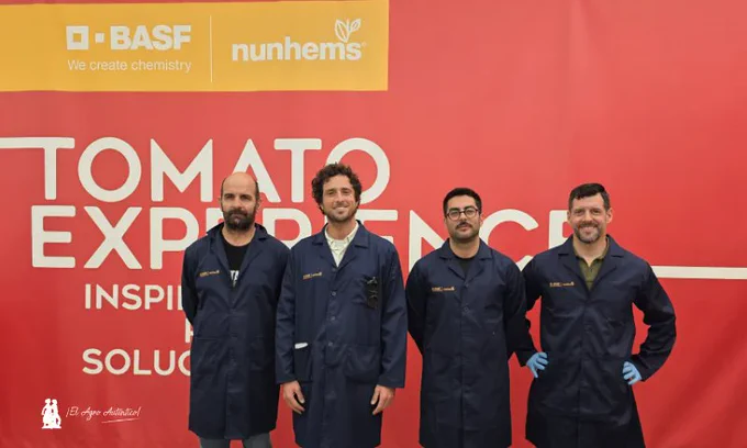 Es la vez primera que en el mes de mayo la compañía BASF | Nunhems realiza un evento de variedades de tomate en Almería. Pero motivos no faltan: novedades varietales y pies que evidencian el escudo protector frente al virus del rugoso (ToBRFV). Finca vitrina en el área de El Alquián y La Cañada con cultivos en perfectas condiciones. Y el salto viene con la alta resistencia (HR) a esta virosis.

A nivel varietal hasta ahora eran dos variedades altamente resistentes, como el pera para mercado nacional Ivarian y la rama Fondon. La novedad es otro tomate rama más que será Lubrin (NUN 5706) y el primer portainjertos con HR llamado Masspower. Pero vendrán más.