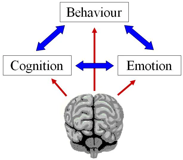 Brain-behavior relationships help explain how thoughts, emotions, and actions are connected to brain function. Advancements in neuroscience and behavioral science are improving our understanding of cognition, mental health, learning, and human behavior.
Join the 5th International Congress on Behavioral & Social Science Research (ICBSSR 2027), February 10–11, 2027, in Miami, USA — a premier HYBRID EVENT bringing together global experts and researchers.
Hosted by Sciinov Group
#ICBSSR2027 #BehavioralScience #Neuroscience #BrainBehavior #PsychologyResearch