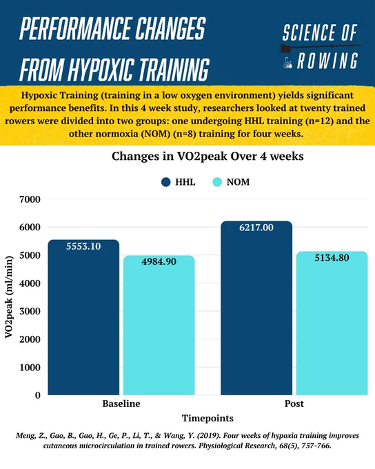 Bar chart depicting VO2peak changes in rowers after four weeks of hypoxic training. Comparison between HHL and NOM groups.