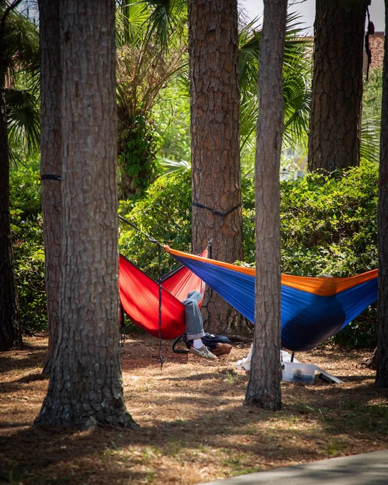 Photo of two students in hammocks on Landis Green on Florida State University's Tallahassee campus.