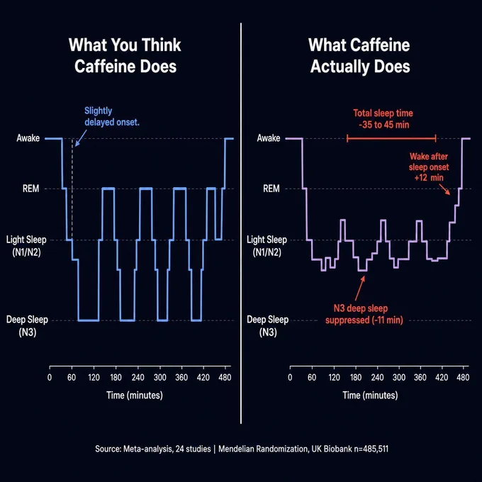 A split infographic on a dark background comparing sleep architecture with and without caffeine. Left panel shows a normal hypnogram labeled "What You Think Caffeine Does" — sleep dips smoothly into deep N3 stages. Right panel labeled "What Caffeine Actually Does" shows a flattened hypnogram with suppressed N3 deep sleep, reduced REM, and annotations showing 35–45 minutes less total sleep.

Medium (Instagram/Facebook):