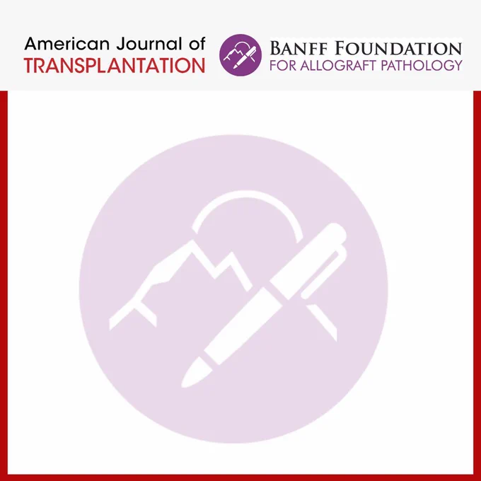 BANFF 2024 PANCREAS TRANSPLANTATION REPORT