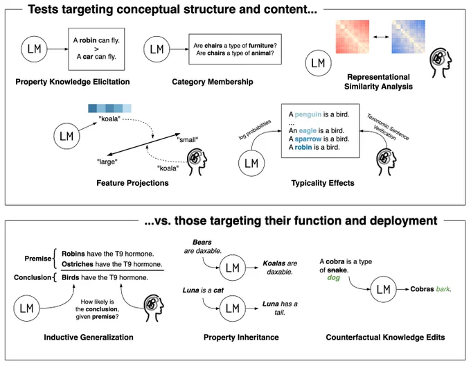 Title page of "Semantic Cognition for and from Language Models" followed by a figure showing tests that target conceptual structure and content vs. those that target function.