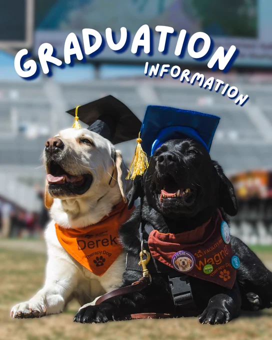 Graduation Information and a photo of Wagner and Derek the therapy dogs with little graduation caps on.