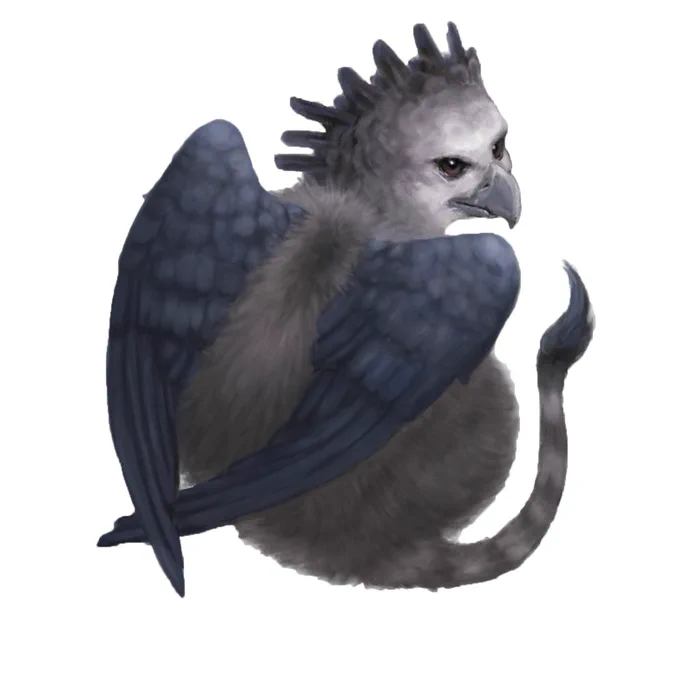 Flights of Foundry harpy eagle