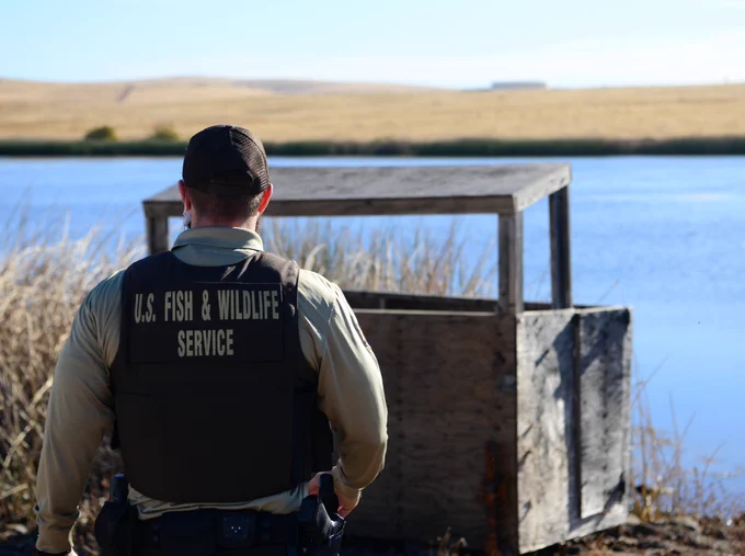 A USFWS law enforcement officer patrols a wetland near a hunting stand.