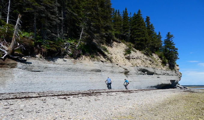 Prélèvement d’échantillons dans l’intervalle de l’Ordovicien–Silurien à la Baie Gamache (île d’Anticosti) – Photo : André Desrochers
