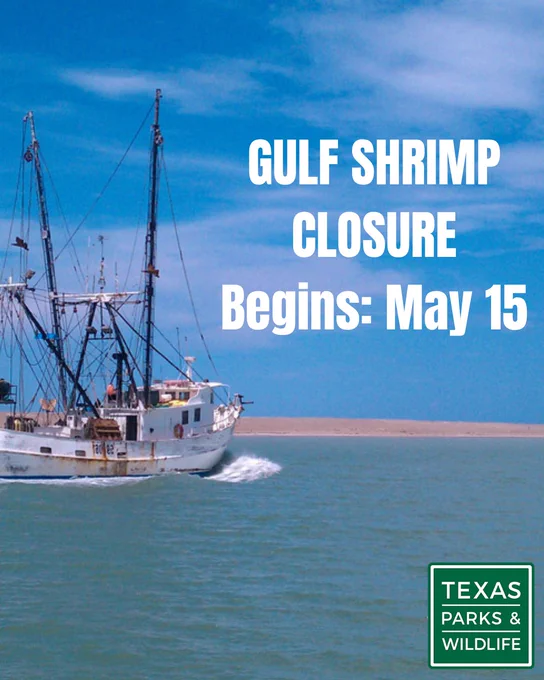 Shrimp boat on water. Text says Gulf Shrimp Closure Begins May 15