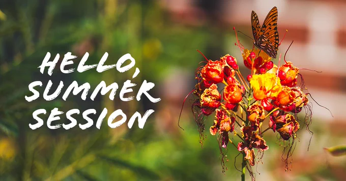 A vibrant orange and black butterfly perched on a cluster of colorful flowers with overlay of text "Hello, Summer Session" on the left. The background is a blurred mix of green and brick tones.