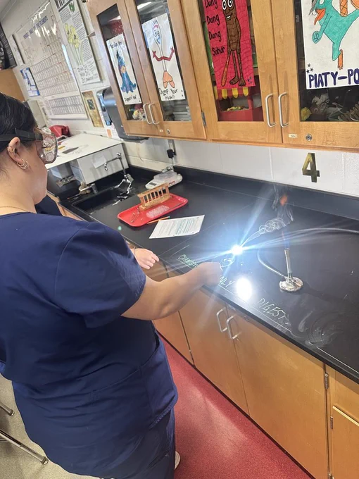 5 PART CHEMICAL REACTION LAB