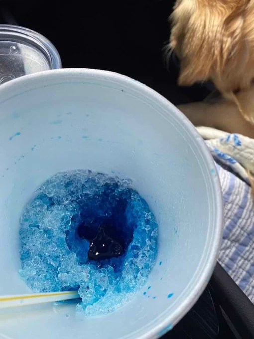 you’re peering down into a styrofoam cup that was in a car’s cupholder. it is mostly empty but has some blue slushie way down at the bottom with a mysteriously tongue-shaped hole carved through the ice in one spot. the back of a golden retriever’s head is visible in the upper right corner of the photo. the dog may or may not be avoiding eye contact.
