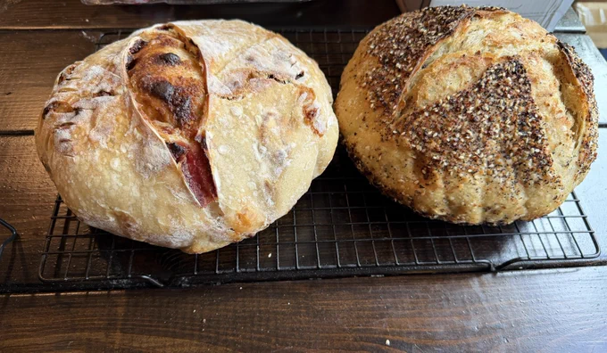 Everything and white chocolate sourdough flavors
