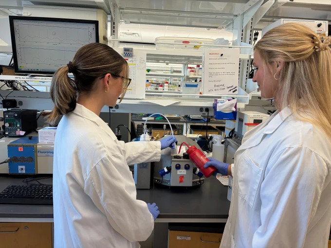 Two people in lab coats and gloves work in a laboratory. One points at equipment on a bench, while the other holds a red bottle. A computer monitor displays data in the background. Shelves are stocked with various laboratory supplies.