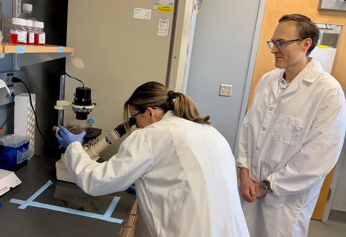 Two individuals wearing lab coats are in a laboratory setting. One is looking through a microscope on a workbench, while the other stands nearby observing. There are various lab equipment and containers on the bench and shelf.