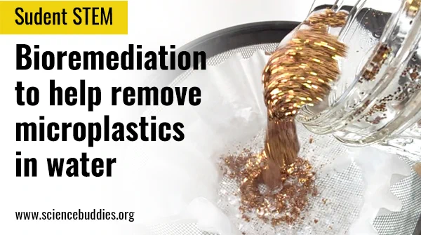 Image of bioremediation project with yeast and glitter