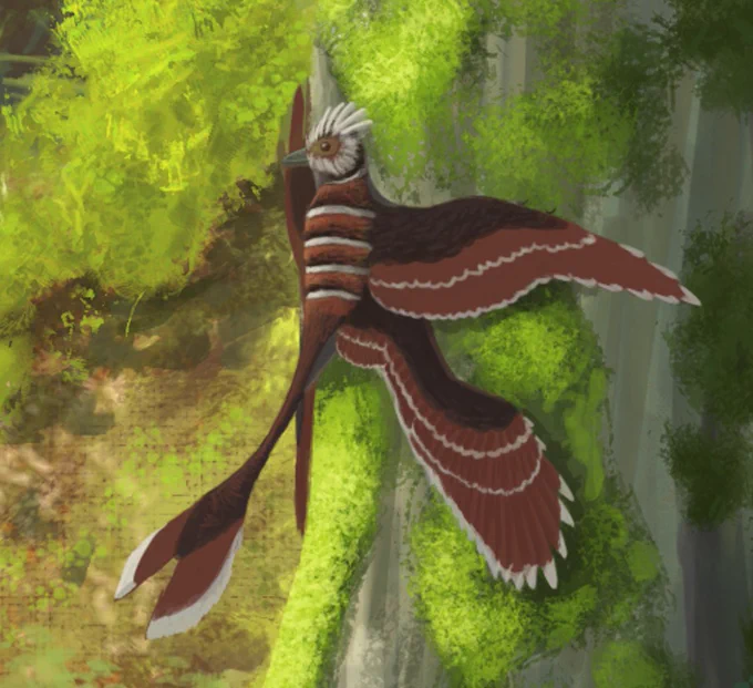 Sinornithosaurus