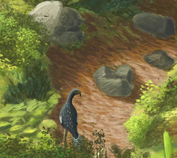 Caudipteryx