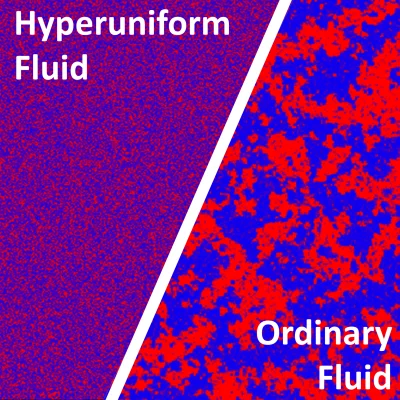 An image shows the difference between an ordinary fluid on the left and a hyperuniform fluid on the right, separated by a white diagonal line. The ordinary fluid contains larger, nonuniform splotches of blue and red. The hyperuniform fluid contains a uniform pattern of much smaller red and blue splotches that look pixelated and blurry, like television static.