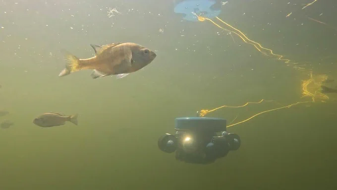 Miniature Underwater Vehicle (MUR) in field test, Lake Crampton, UNDERC, Wisconsin