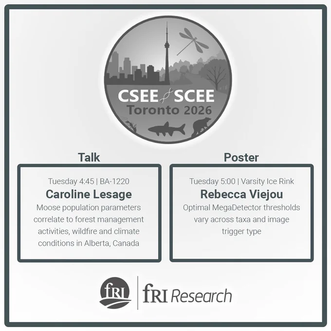 CSEE-SCEE Toronto 2026. Talk: tuesday 4:45 at BA-1220 by Caroline Lesage. Moose population parameters correlate to forest management activities, wildfire and climate conditions in Alberta, Canada. Poster Tuesday 5:00 at the varsity ice rink by Rebecca Viejou. Optimal MegaDectector thresholds vary across taxa and image trigger type