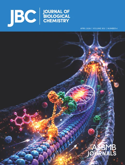 The April 2026 cover of JBC depicts mitochondrial trafficking along axonal microtubules driven by Kinesin-1 motors. The BPA molecule (fluorescent pink) interacts with the Kinesin-1 motor domain (orange), interfering with the normal bidirectional transport system that maintains mitochondrial trafficking and energy homeostasis in neurons.