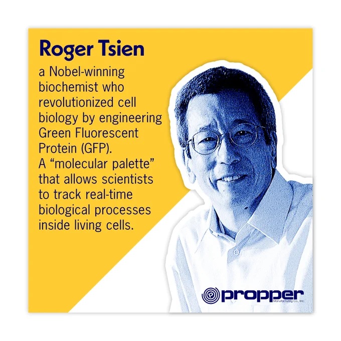 In 2008, Roger Tsien won the Nobel Prize for transforming a protein found in jellyfish into a vibrant "molecular palette." Before his work, studying the inner workings of a cell was often like trying to find your keys in the dark.

#AANHPI #Biochemistry