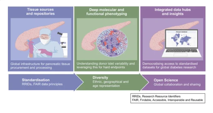 Chen graphical abstract