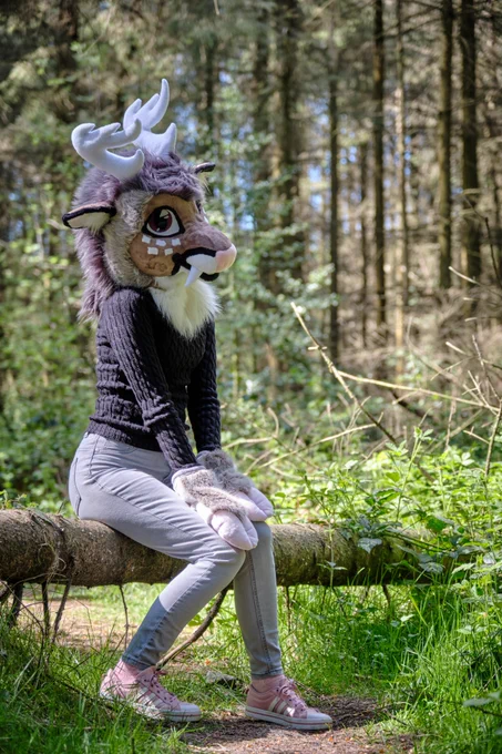 deer furry sat on log in the forest