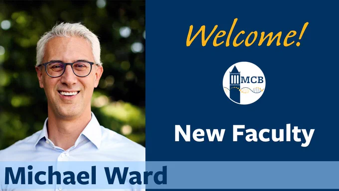 Michael Ward joins MCB faculty