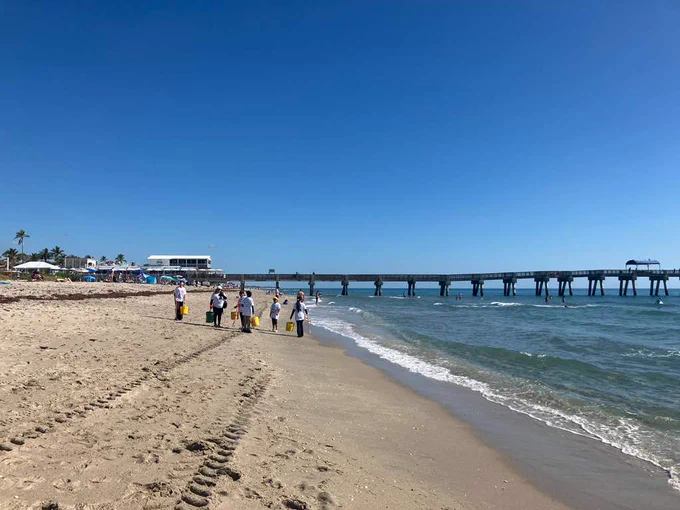Group of people walking along a sandy beach near a long pier under a clear blue sky with buckets picking up trash. 
