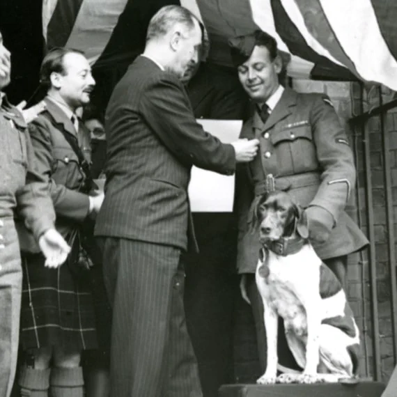 A group of individuals in military attire stand under a canopy. One person is pinning something on another's uniform. A dog is seated on a platform nearby wearing a medal. 