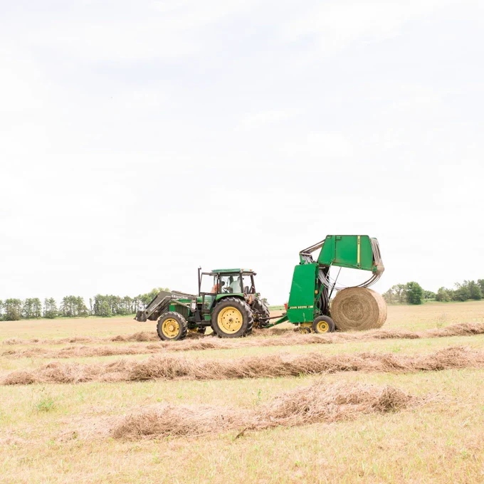 Tractor and baler going through harvested hay field. 