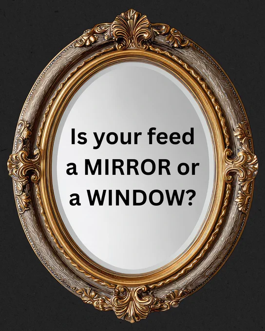 Is your feed a Mirror or a Window?