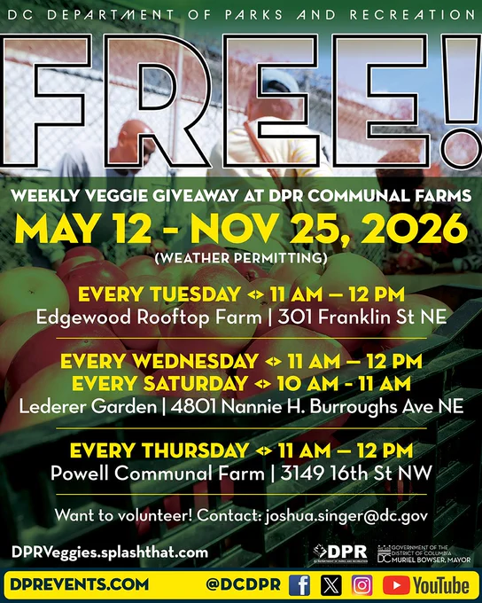 FREE!

Weekly veggie giveaway at DPR Communal Farms.
May 12 to November 25, 2026 (weather permitting)

Every Tuesday from 11AM-12PM at Edgewood Rooftop Farm located at 301 Franklin St NE

Every Wednesday from 11-12PM and every Saturday from 10-11AM at Lederer Garden located at 4801 Nannie H. Burroughs Ave NE.

Every Thursday from 11AM-12PM at Powell Communal Farm located at 3149 16th St NW.

Want to volunteer? Contact: joshua.singer@dc.gov

More: DPRVeggies.splashthat.com