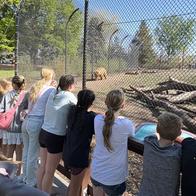 zoo